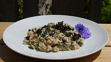 Risotto z dzikimi ziołami