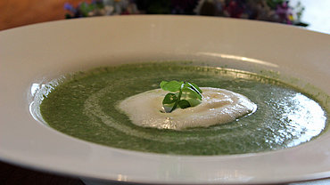 Zupa ziołowa