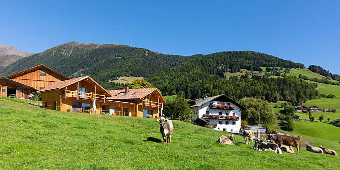 Wakacje w gospodarstwie hodowlanym