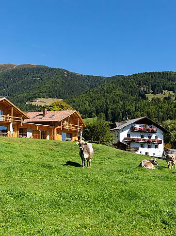 Wakacje w gospodarstwie hodowlanym