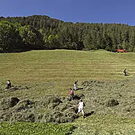 Rolnictwo górskie