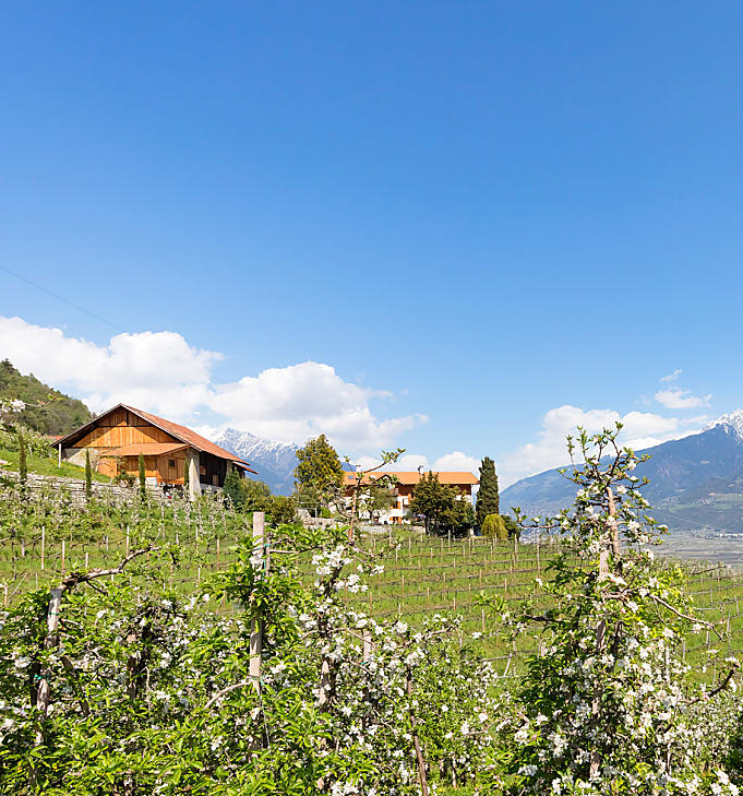 Wakacje w gospodarstwie owocowym w Południowym Tyrolu