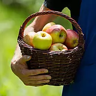 Obszar uprawy jabłek w Południowym Tyrolu