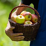 Obszar uprawy jabłek w Południowym Tyrolu