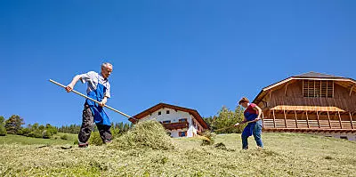 Sianokosy w gospodarstwie w Południowym Tyrolu