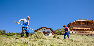 Sianokosy w gospodarstwie w Południowym Tyrolu