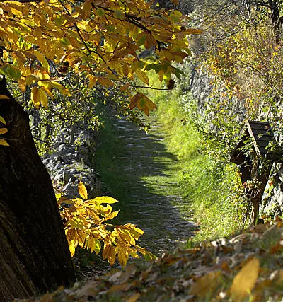 Szlak Keschtnweg w dolinie Eisacktal - Południowy Tyrol