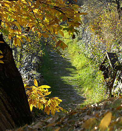 Szlak Keschtnweg w dolinie Eisacktal - Południowy Tyrol