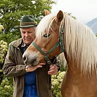 Ojczyzna koni rasy haflinger i żywe tradycje konne