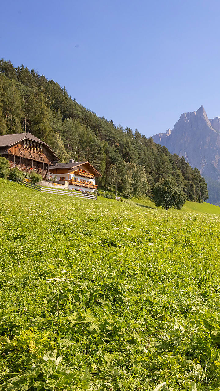 Letni urlop w gospodarstwie w Południowym Tyrolu