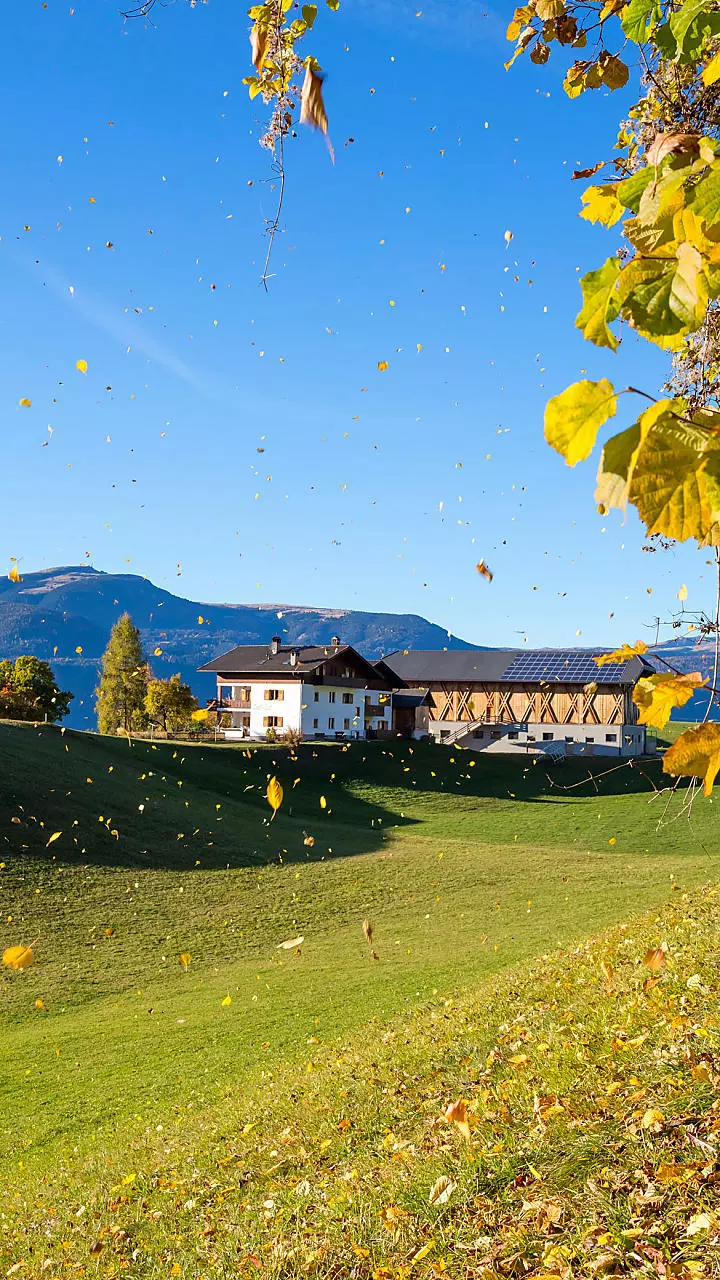 Jesienny urlop w gospodarstwie w Południowym Tyrolu