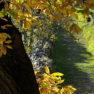 Szlak Keschtnweg: jesienny klejnot w dolinie Eisacktal