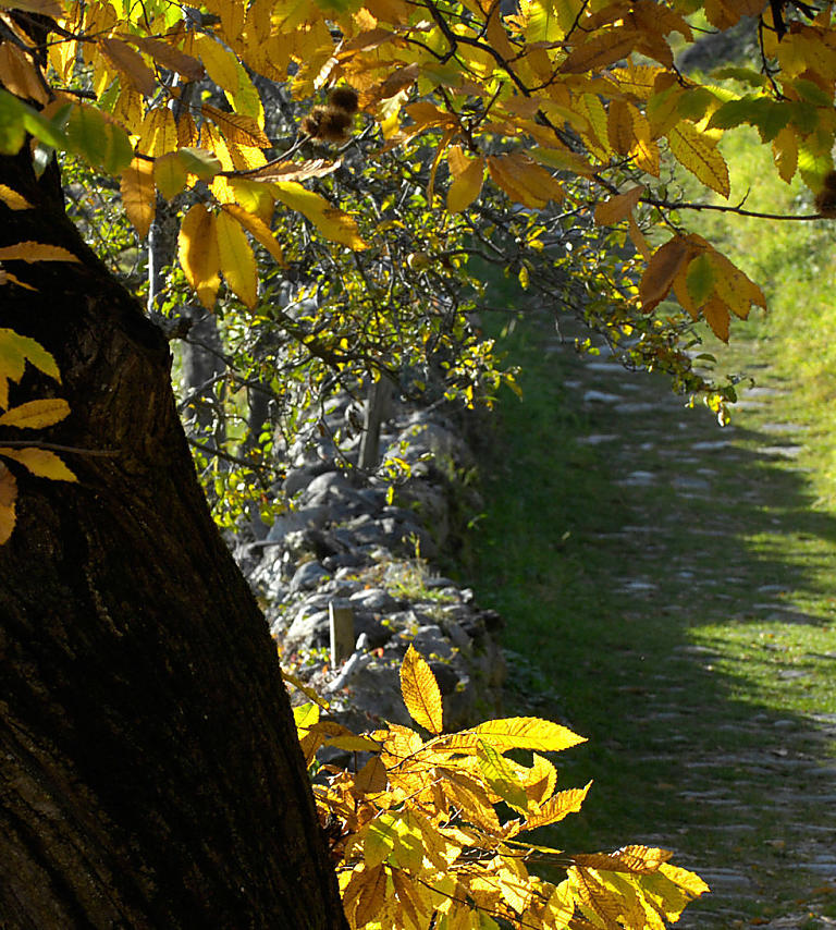 Szlak Keschtnweg: jesienny klejnot w dolinie Eisacktal