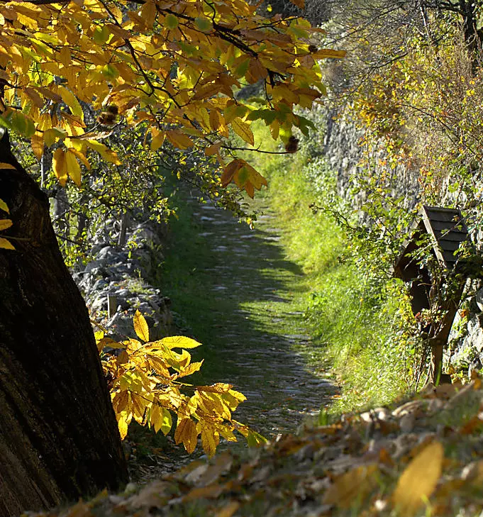 Szlak Keschtnweg: jesienny klejnot w dolinie Eisacktal