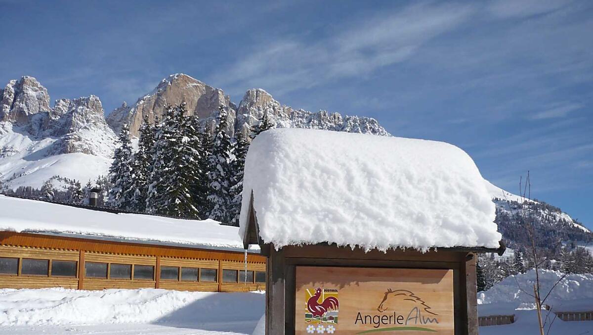 Angerle-Alm - Galeria zdjęć Photo