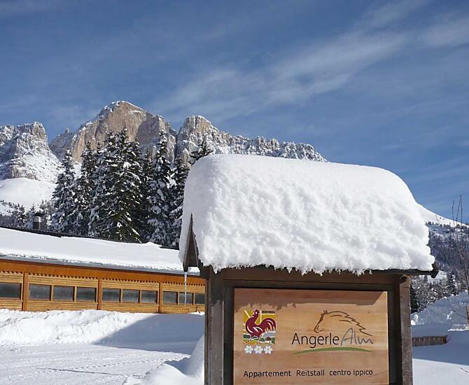 Angerle-Alm - Galeria zdjęć Photo