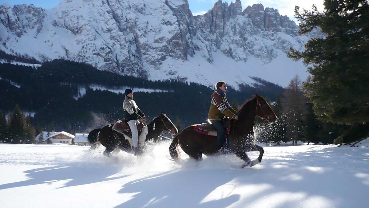 Angerle-Alm - Galeria zdjęć Photo