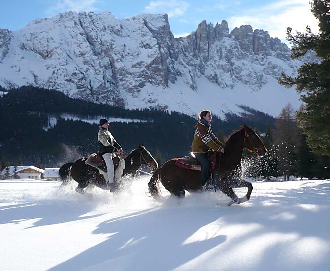 Angerle-Alm - Galeria zdjęć Photo