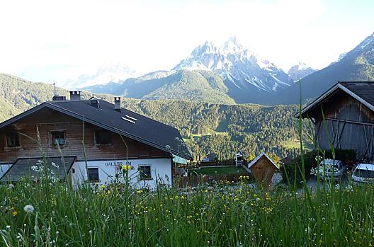 Galler am Berg - Lista Photo