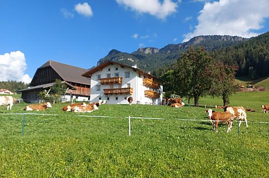 Niglutsch - Lista Photo