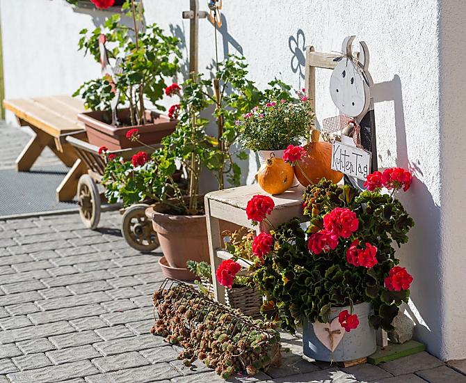 Glögglhof - Galeria zdjęć Photo