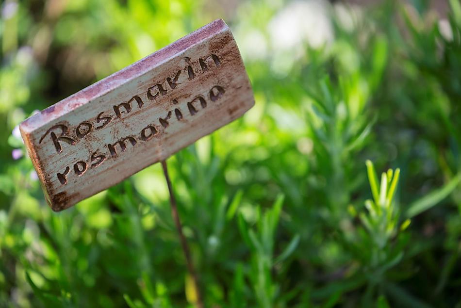 Glögglhof - Przyjemności w gospodarstwie Photo