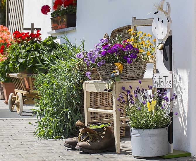 Glögglhof - Galeria zdjęć Photo