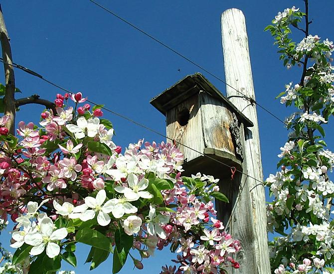 Häuslerhof - Galeria zdjęć Photo