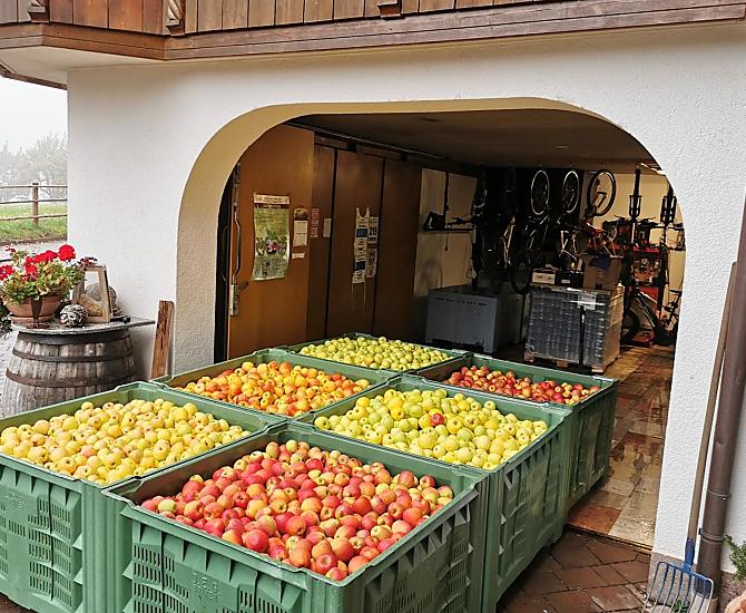 Häuslerhof - Galeria zdjęć Photo