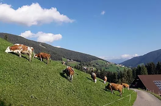 Col de Tlames - Lista Photo