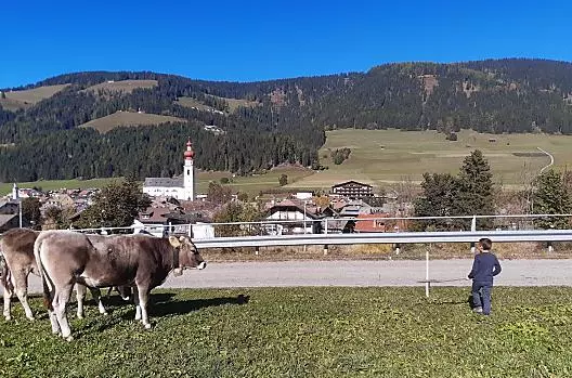 Hoferhof - Lista Photo