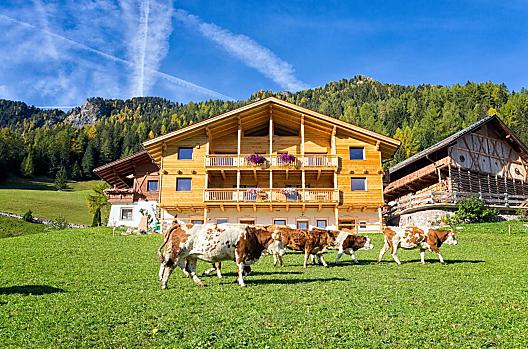 Drockerhof - Lista Photo
