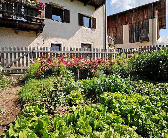 Woeserhof - Galeria zdjęć Photo
