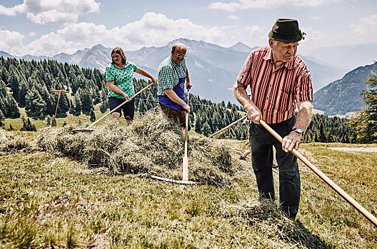 Sianokosy na naszych górskich lakach na wysokosci 2000 m n.p.m.