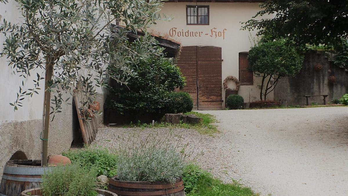 Goidnerhof - Galeria zdjęć Photo