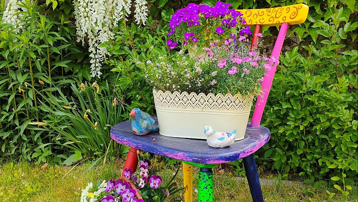 erste Frühlingblumen