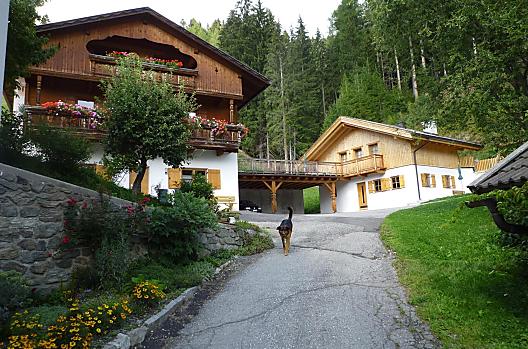 Innerbachlerhof - Lista Photo