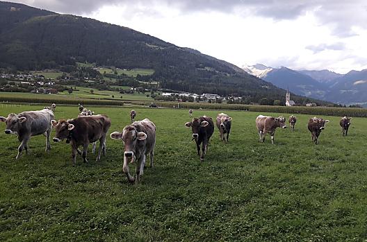 Niedermairhof - Lista Photo