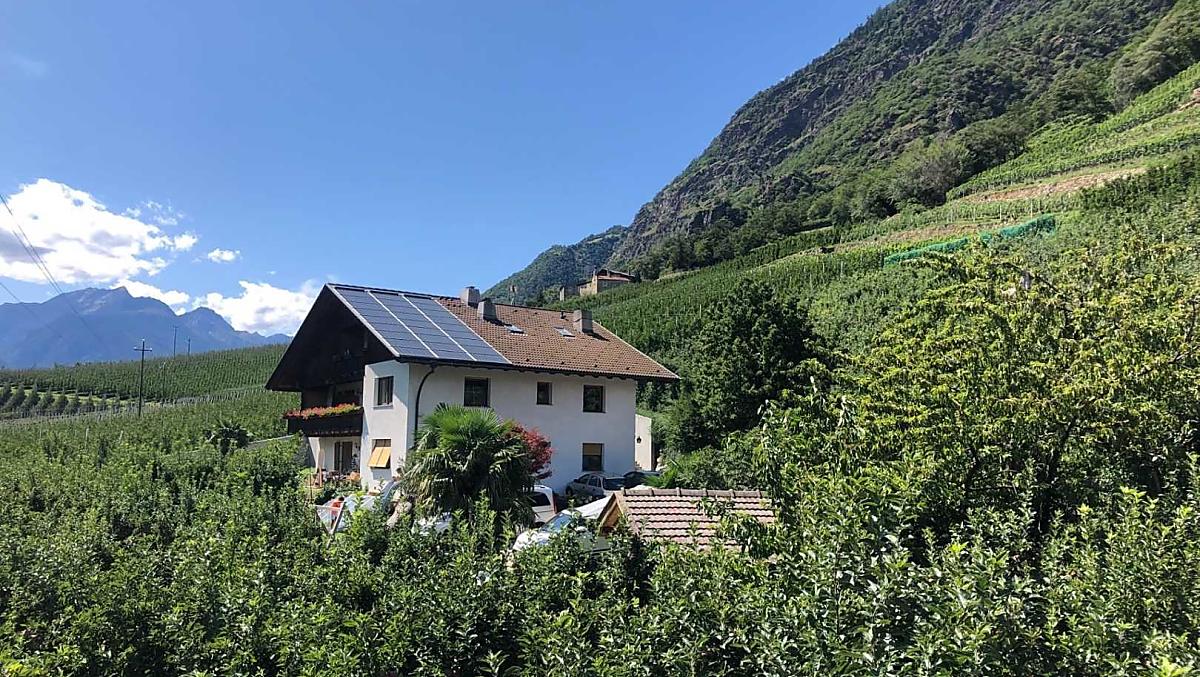 Pixnerhof - Galeria zdjęć Photo