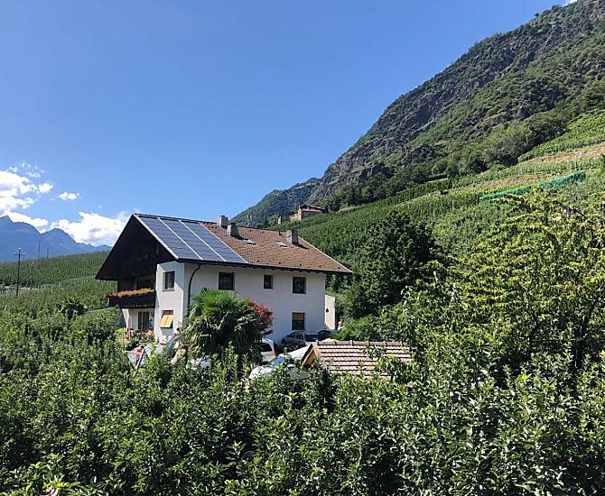 Pixnerhof - Galeria zdjęć Photo