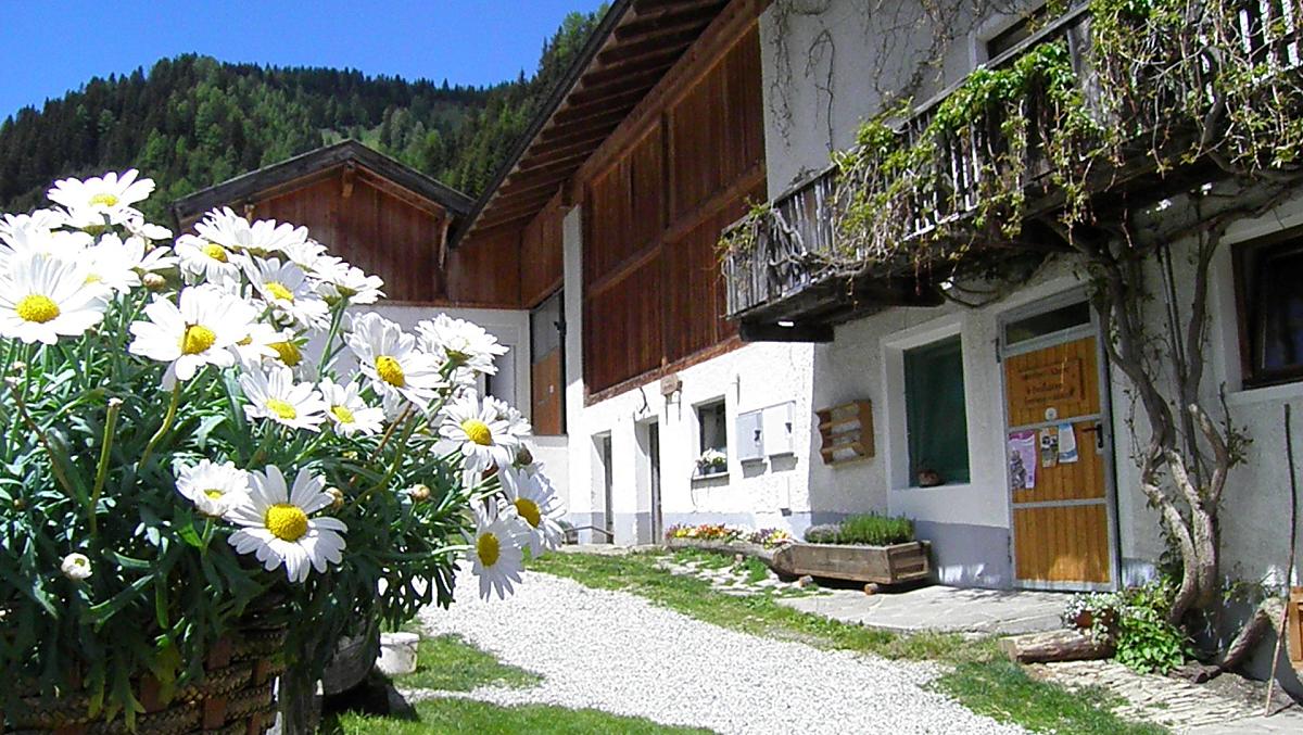 Ungererhof - Galeria zdjęć Photo
