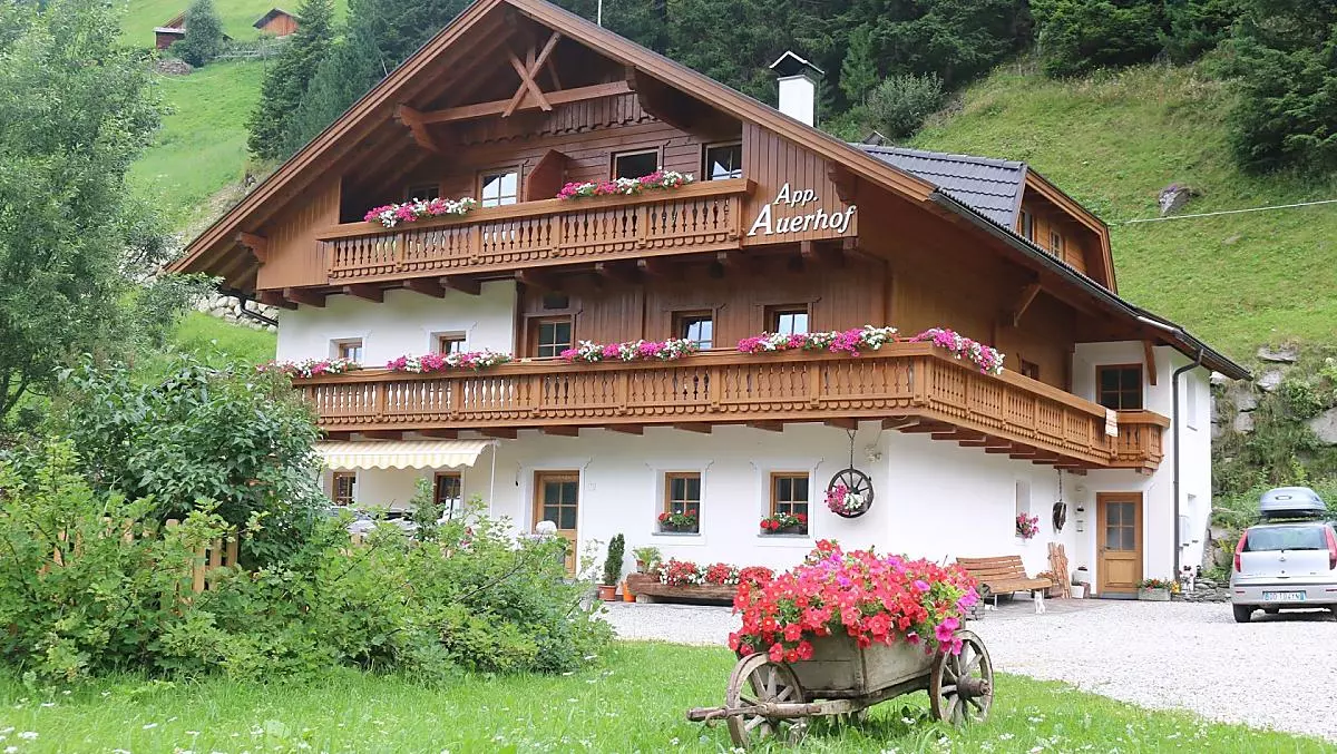 Auerhof - Galeria zdjęć Photo