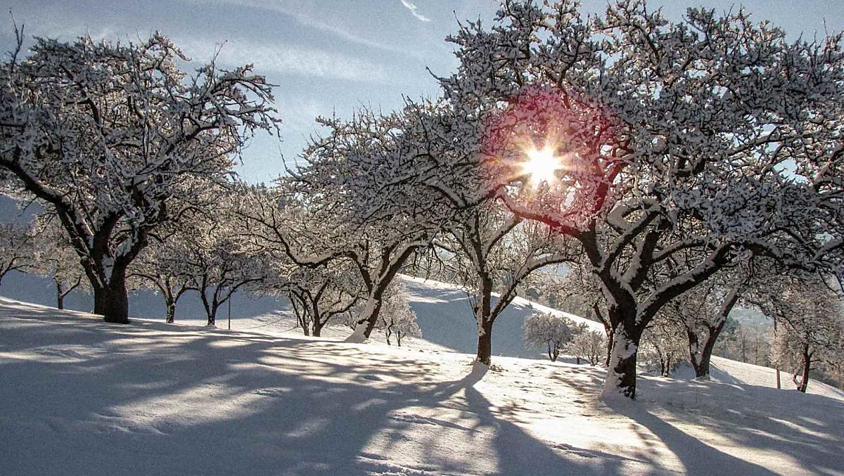 Winter