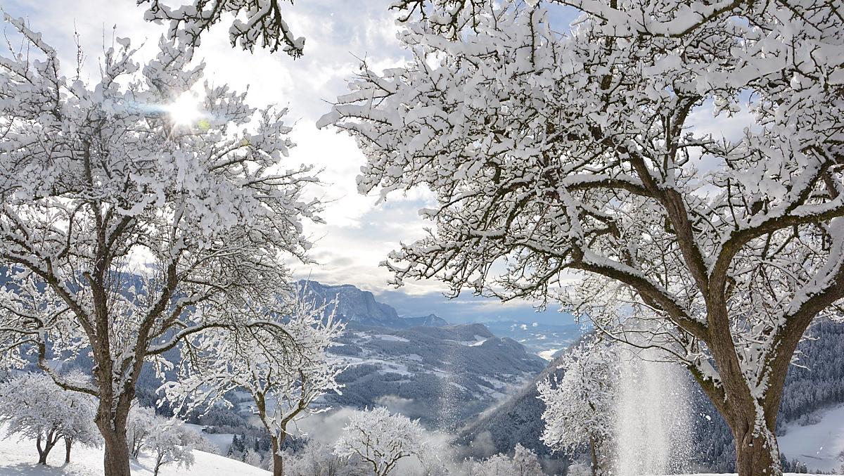Winter