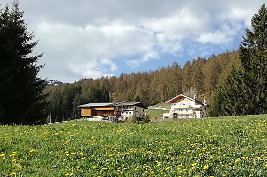 Wiosenne przebudzenie
