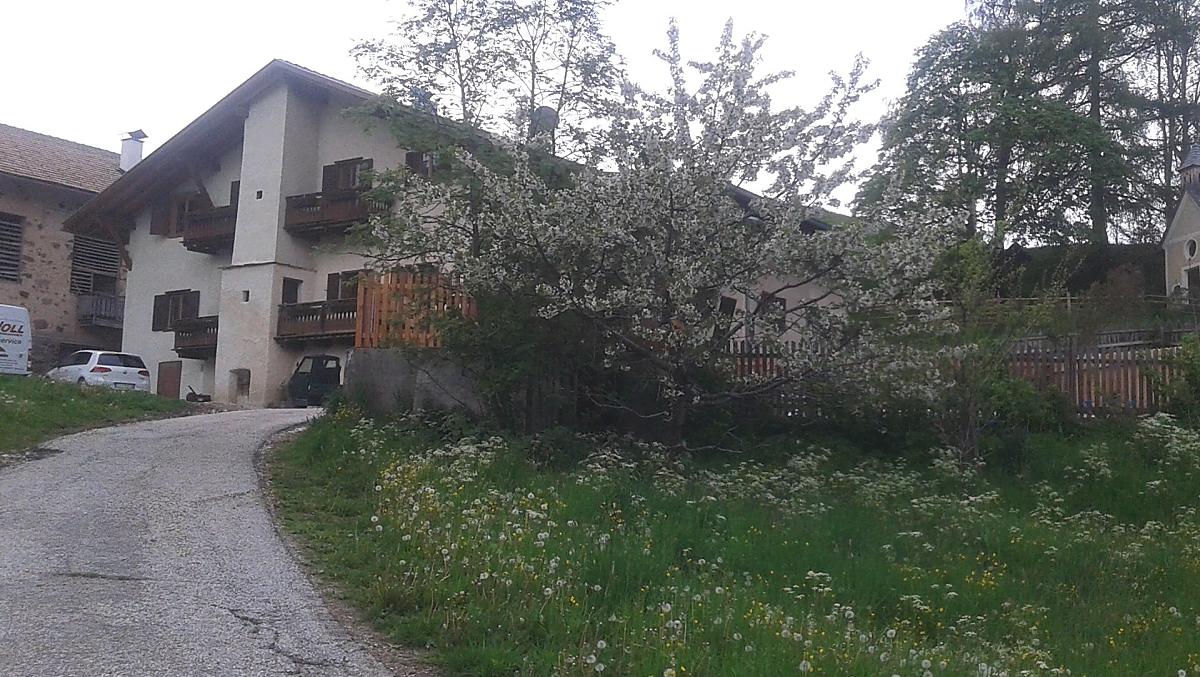 Wiosna, gdy kwitna kwiaty wisni.