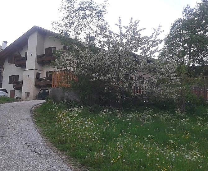 Wiosna, gdy kwitna kwiaty wisni.