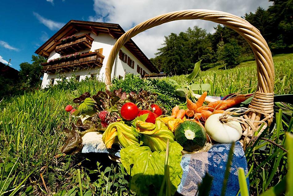 Puntschuhof - Przyjemności w gospodarstwie Photo