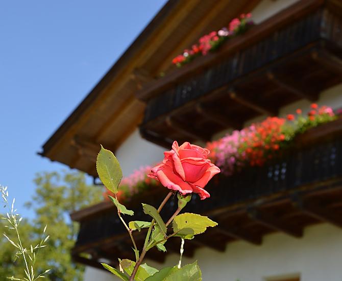 Puntschuhof - Galeria zdjęć Photo