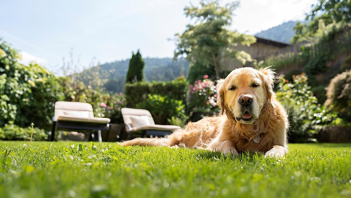 Lea, przyjaciółka wszystkich dzieci